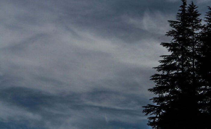 Delhi Manali Tour Package