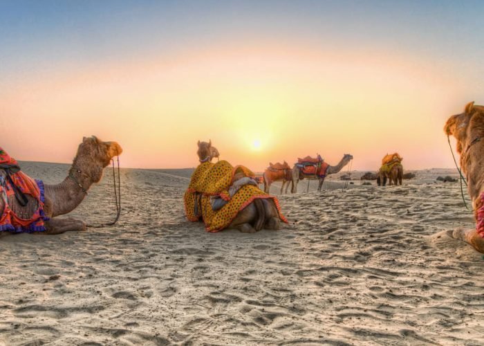 Rajasthan camel desert of Rajasthan Tour Package
