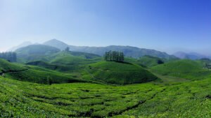 Photo of a beautiful valley of Top 10 Most Beautiful Beaches In The World 2018-2019 - Indian Beach Tours