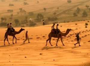 Photo of camels by Colorful Destinations India