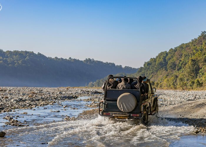 India Wildlife Tour Package