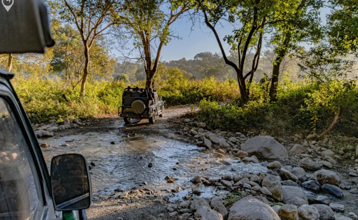 India Wildlife Tour Package