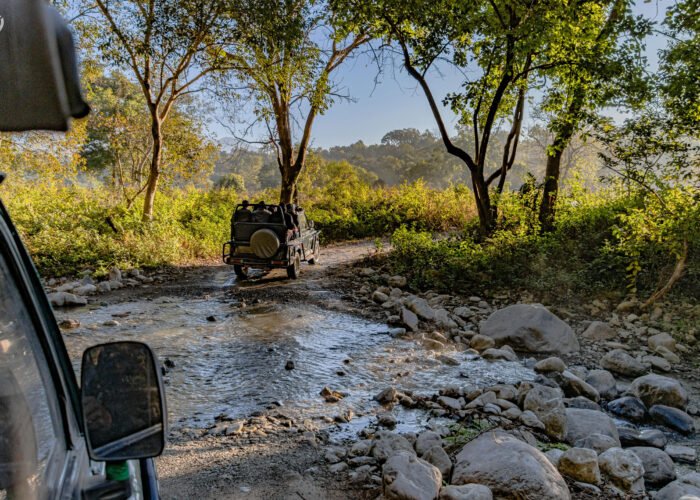 India Wildlife Tour Package