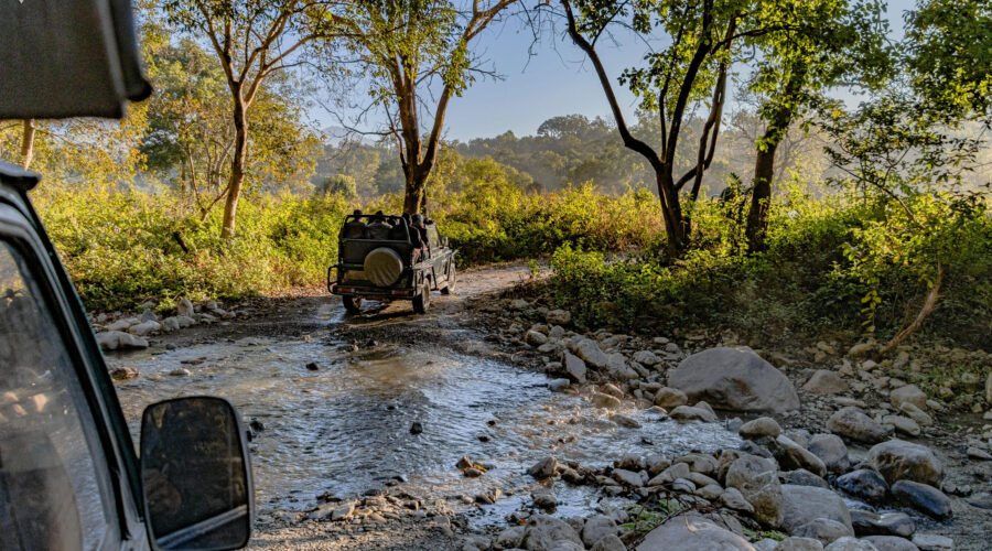 India Wildlife Tour Package India Wildlife Tour Package