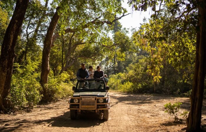 01-Jungle-safari-at-Jim-Corbett-edited Nainital Jim Corbett Rishikesh Haridwar tour package by Colorful Destinations India