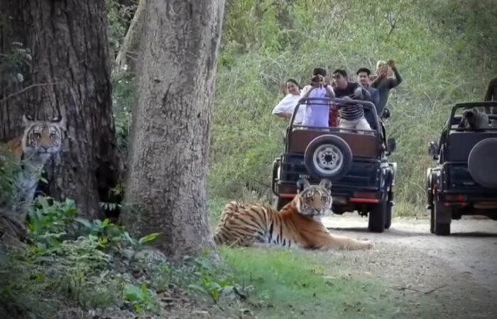 Nainital Jim Corbett Rishikesh Haridwar tour package by Colorful Destinations India