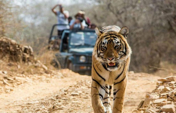 jim-corbett-conservation Nainital Jim Corbett Rishikesh Haridwar tour package by Colorful Destinations India