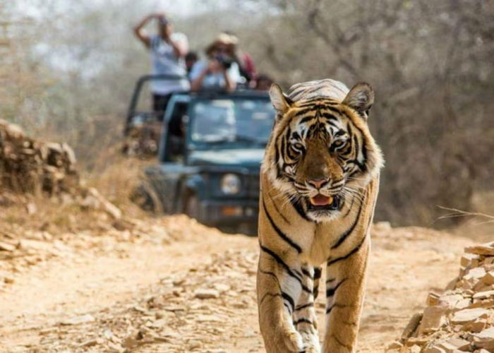 Nainital Jim Corbett Rishikesh Haridwar tour package by Colorful Destinations India