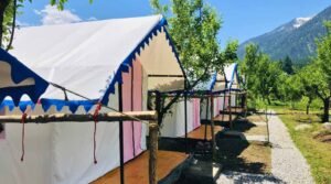 camping in manali