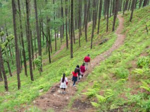 Nainital's Trekking Trails A Magical Retreat to Nainital: A Guide to the Best Sights and Adventures