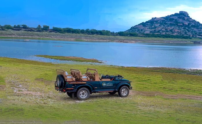 Unexplored Rajasthan Activities Local Life