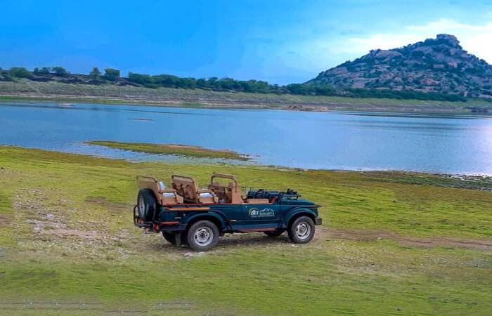 Unexplored Rajasthan Activities Local Life