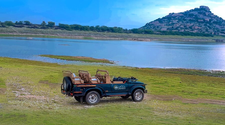 Jawai Bandh Unexplored Rajasthan Activities Local Life