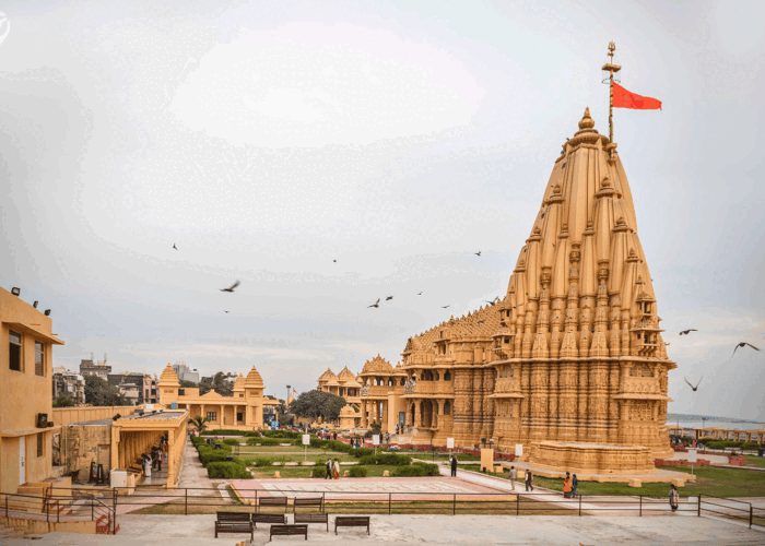 Best Gujarat Tour Package, Dwarka Somnath Sasan Gir Diu Rajkot Tour Package