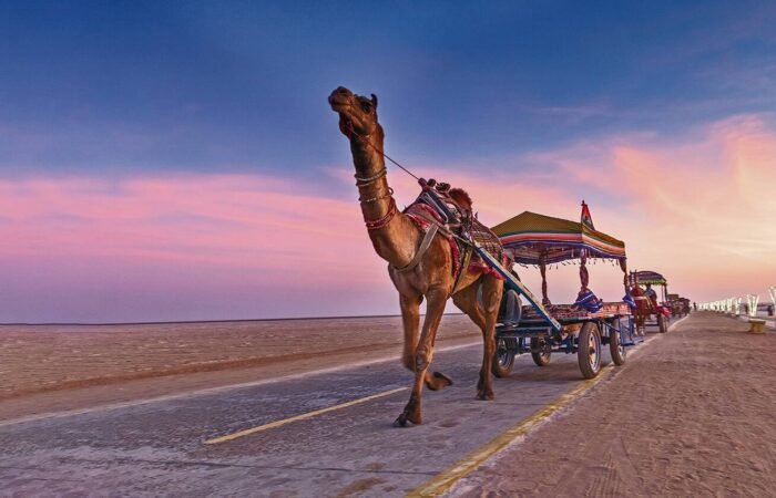 Hidden Gems India: 10 Lesser, How to Tour Rajasthan: The Ultimate Guide to India’s Royal State