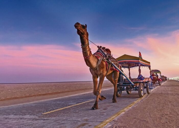 Hidden Gems India: 10 Lesser, How to Tour Rajasthan: The Ultimate Guide to India’s Royal State