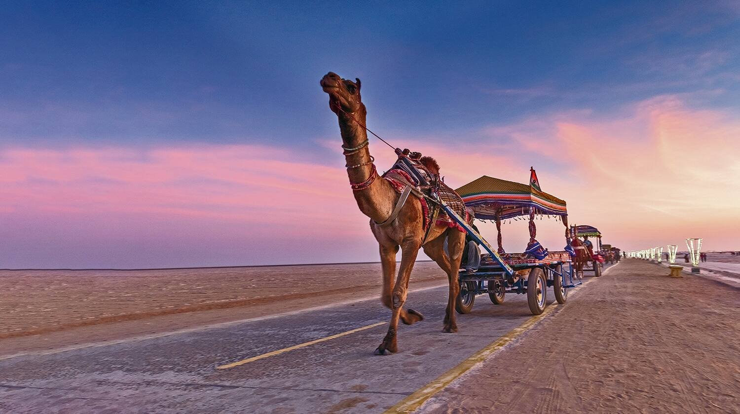 Hidden Gems India: 10 Lesser, How to Tour Rajasthan: The Ultimate Guide to India’s Royal State
