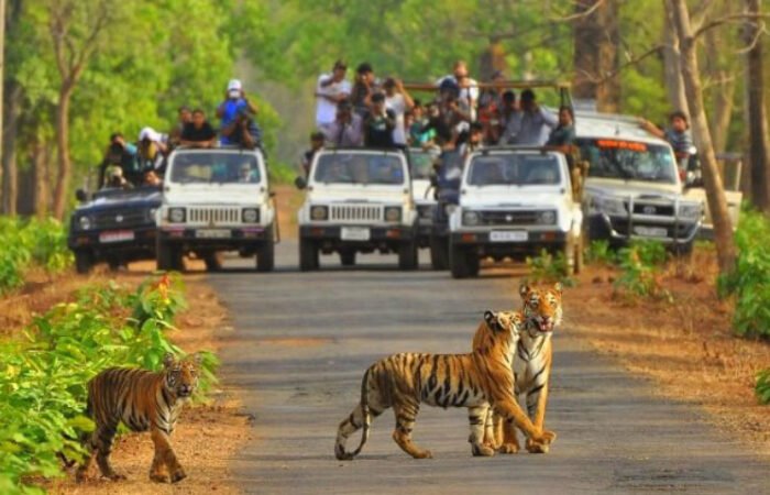 Sariska 2