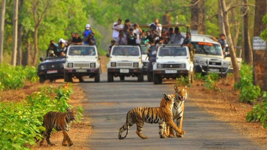 Sariska Sariska 2