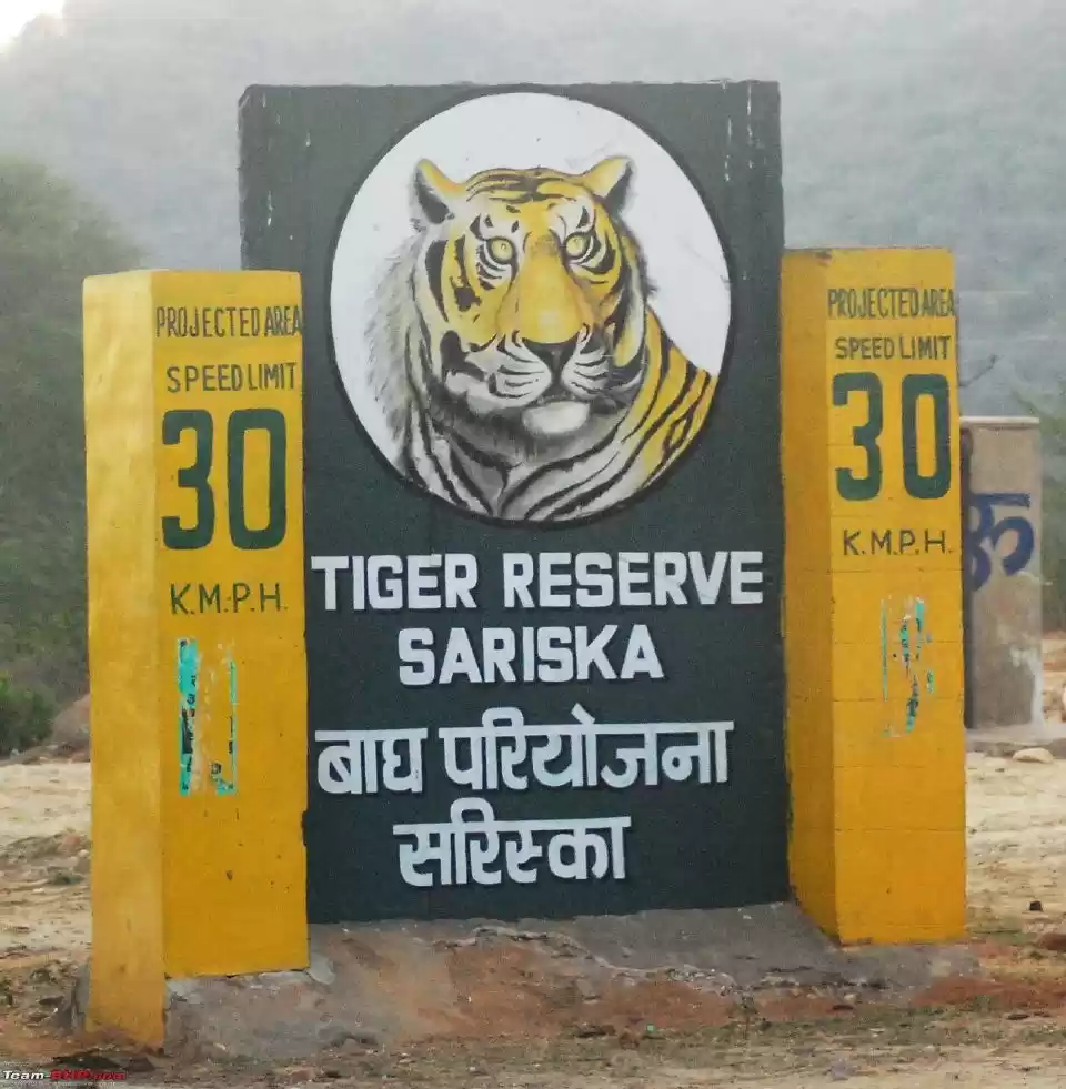 Sariska Weekend Getaway From Delhi