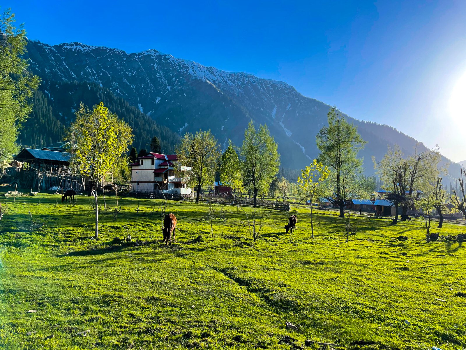 Kashmir Travel Guide