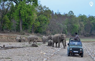 Rajaji-National-Park Uttrakhand Tour Calendar